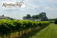 Kentucky Wineries & Vineyards