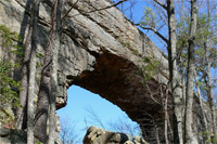 Natural Bridge State Resort Park